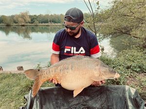 Mirror Carp