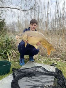 Mirror Carp