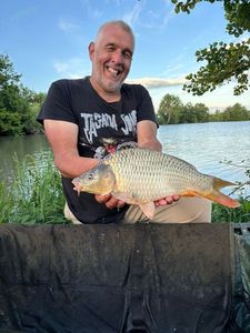 Common Carp