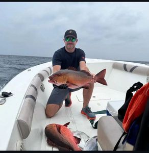 Red Snapper