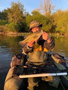 Largemouth Bass