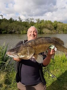 Zander