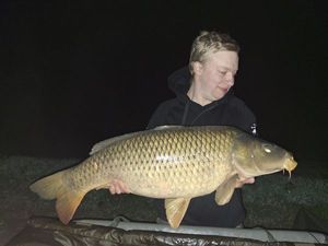 Common Carp