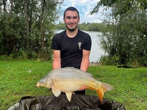 Mirror Carp