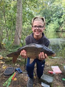 Common Carp