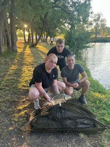 Mirror Carp