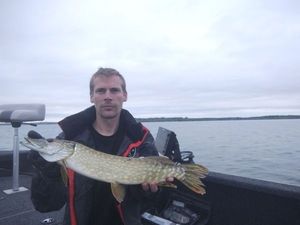 Northern Pike