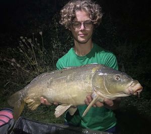 Mirror Carp