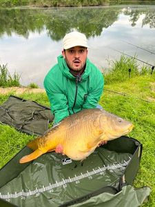 Leather Carp