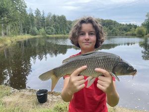 Common Carp