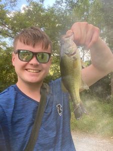 Smallmouth Bass