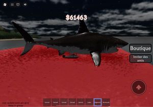 Megalodon