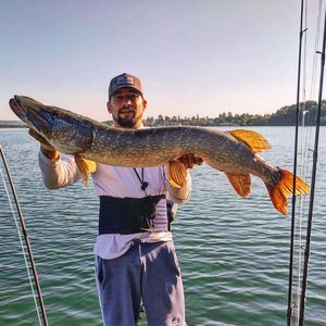 Northern Pike