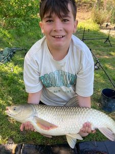 Grass Carp