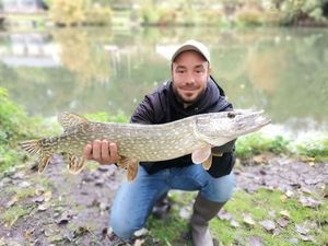 Northern Pike