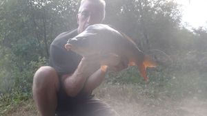 Mirror Carp