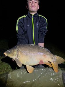 Mirror Carp