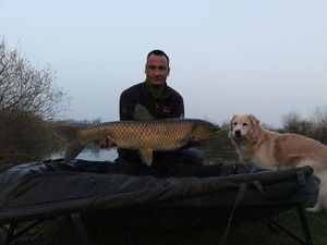 Grass Carp