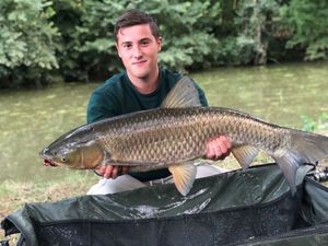 Grass Carp
