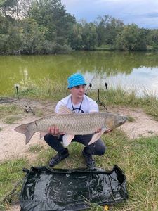 Grass Carp