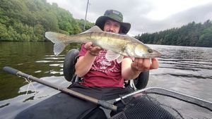 Zander