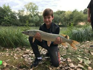 Northern Pike