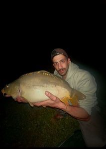 Mirror Carp