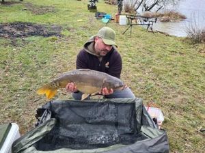 Common Carp
