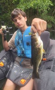 Largemouth Bass