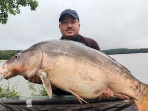 Mirror Carp