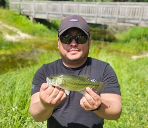 Largemouth Bass