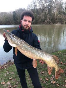Northern Pike