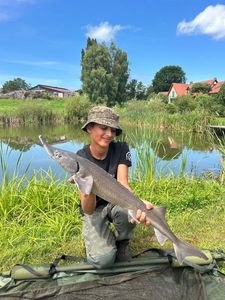 Sturgeon