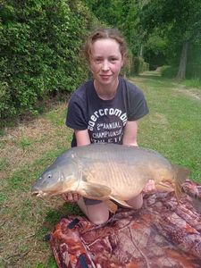 Mirror Carp