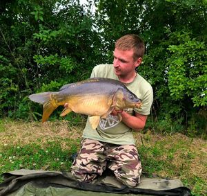 Mirror Carp