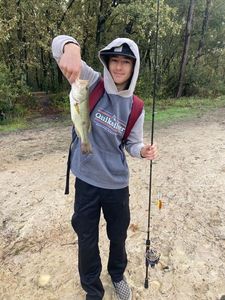 Largemouth Bass
