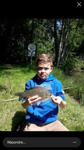 Common Bream