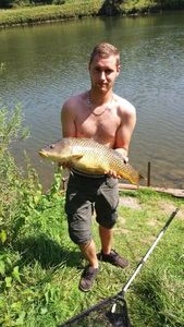 Common Carp
