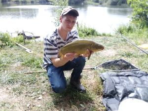 Tench