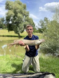 Northern Pike