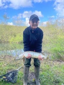 Northern Pike