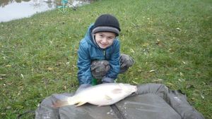 Common Carp