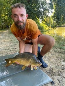 Mirror Carp