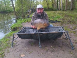 Mirror Carp
