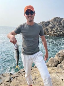 Atlantic Horse Mackerel