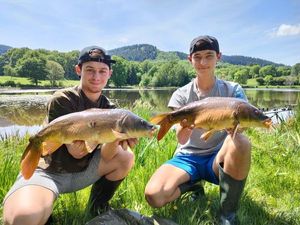 Mirror Carp