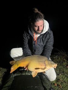 Mirror Carp