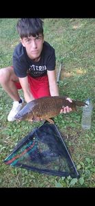 Common Carp