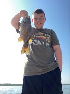Smallmouth Bass