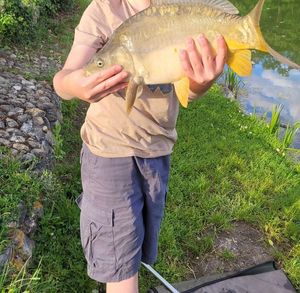 Mirror Carp